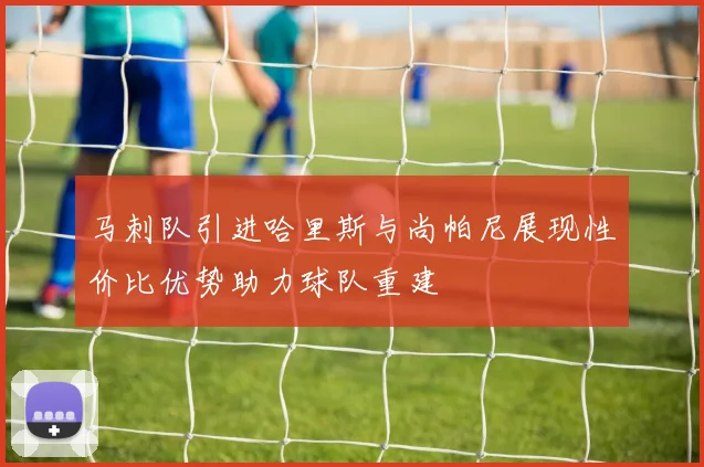 马刺队引进哈里斯与尚帕尼展现性价比优势助力球队重建